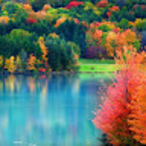 Meet your Posher, Sydney